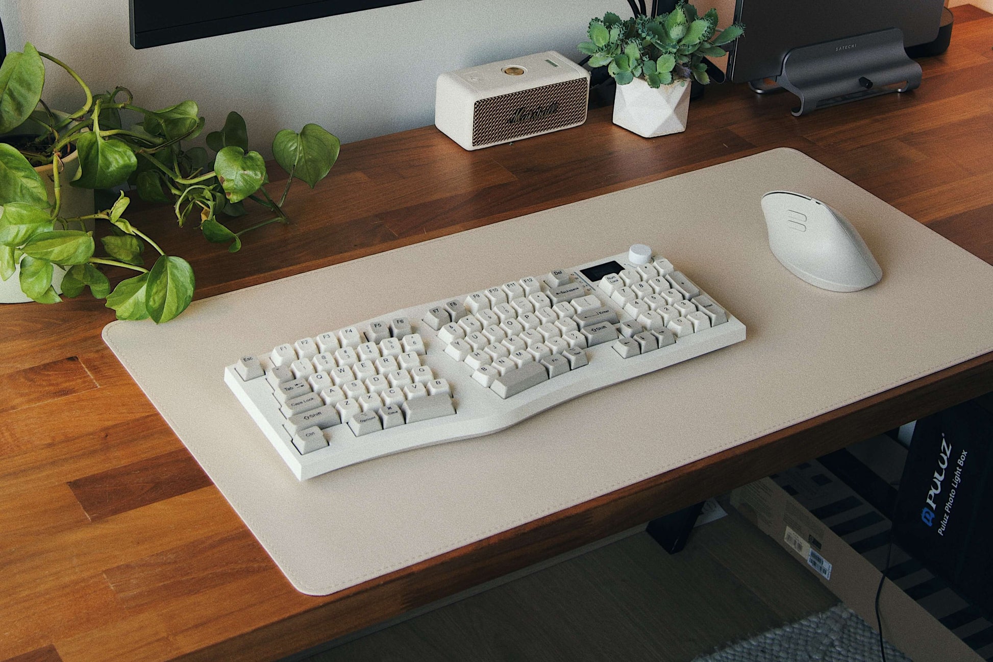 Beautiful desk setup with plants, deskmat, mechanical keyboard and vertical mouse